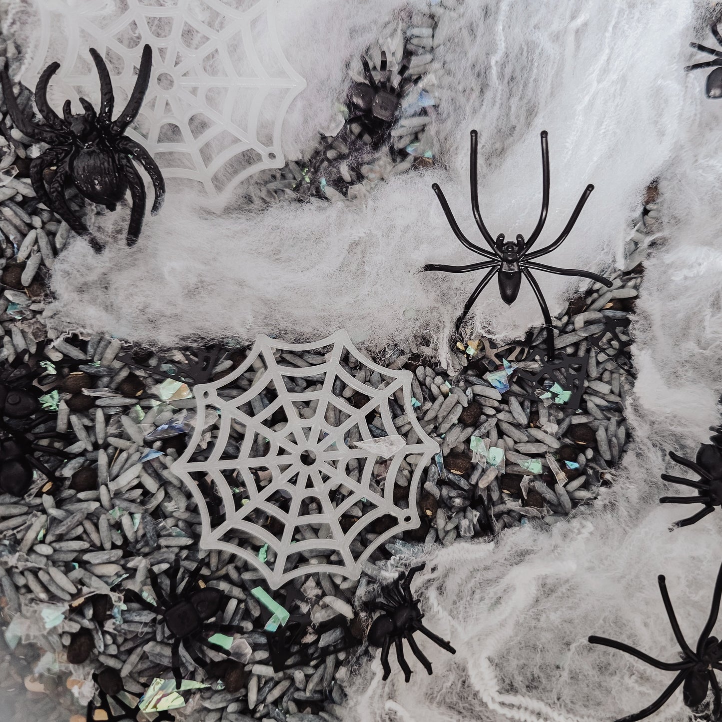 Spiders Web