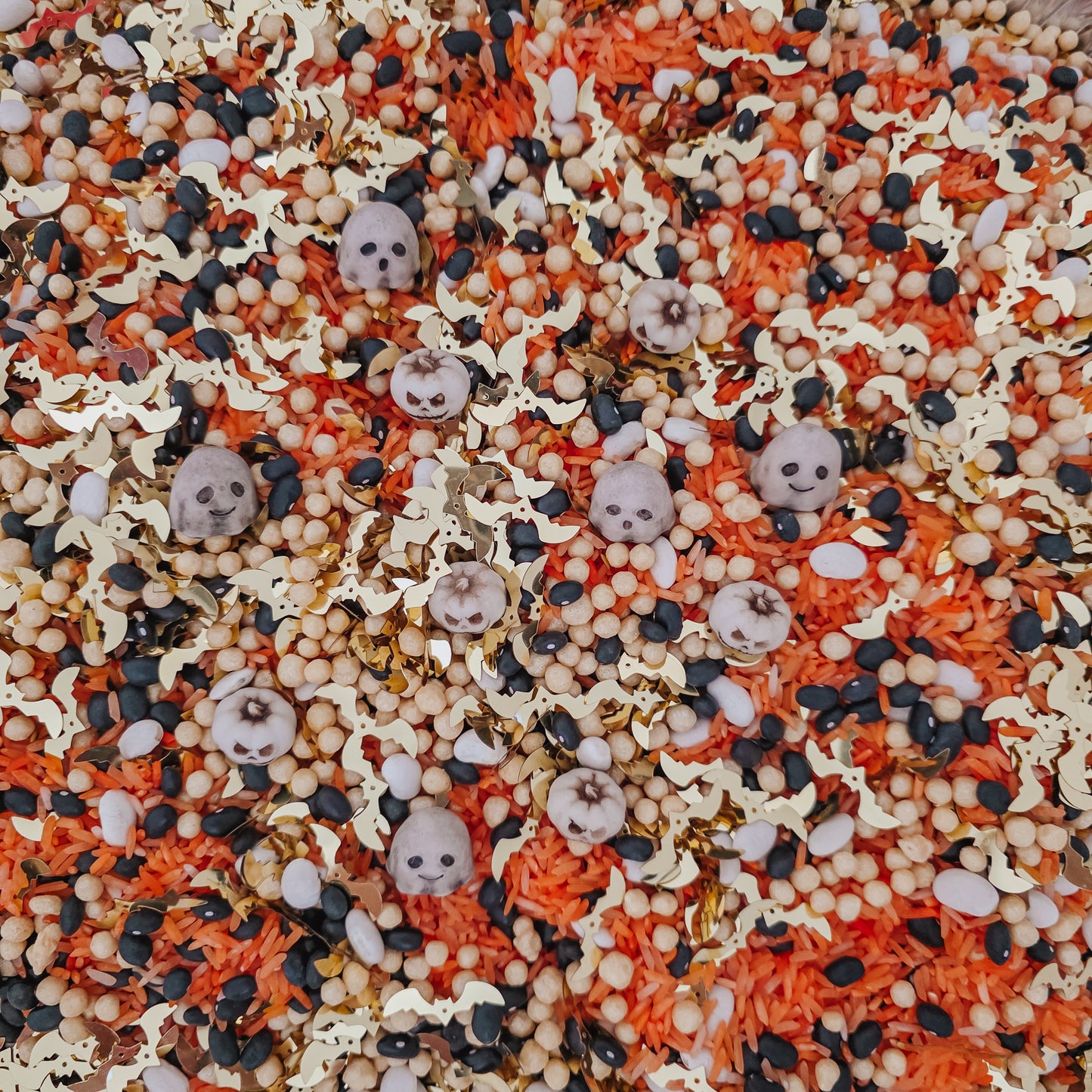 Pumpkins, Ghosts and Bats: Oh My!