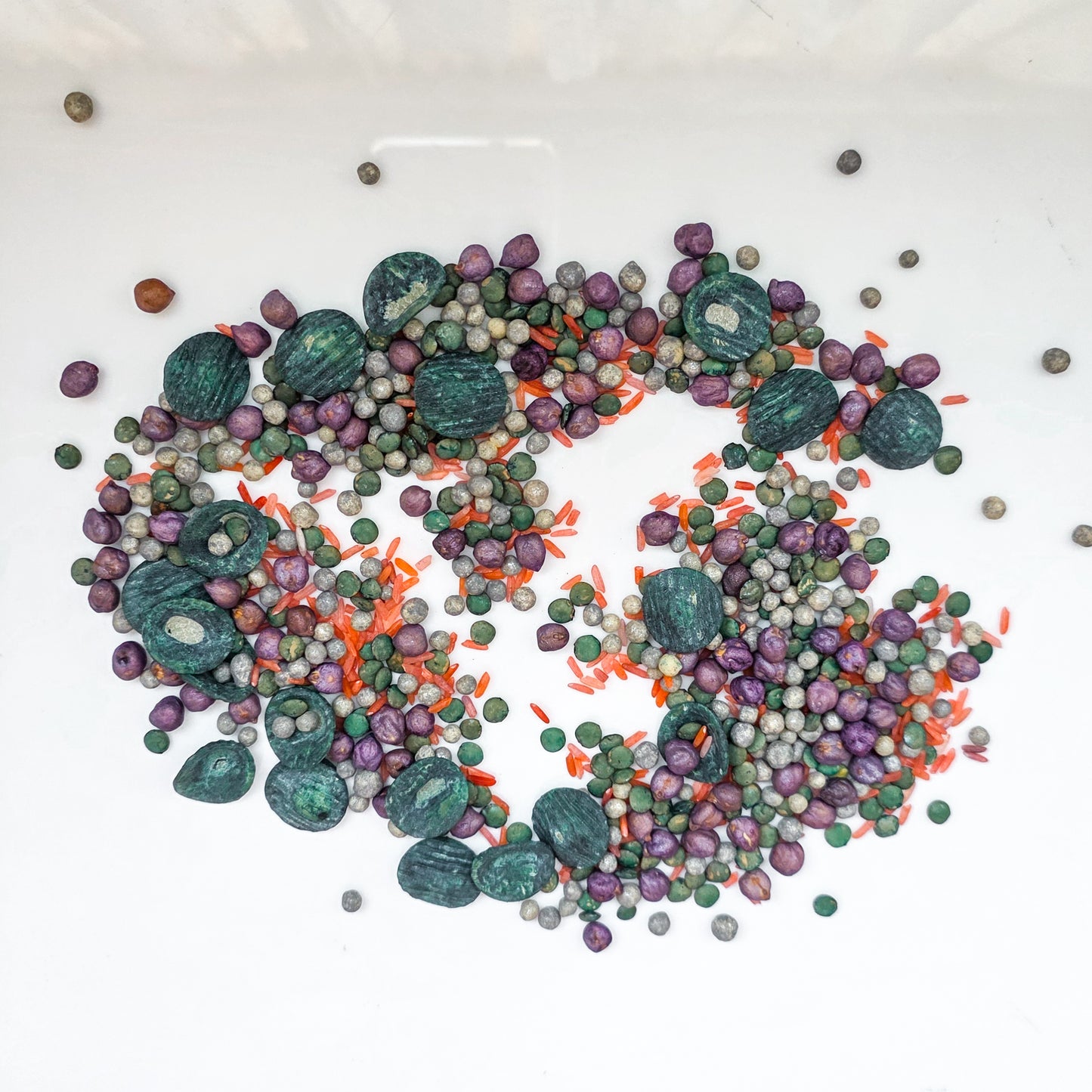 Pebble Pop