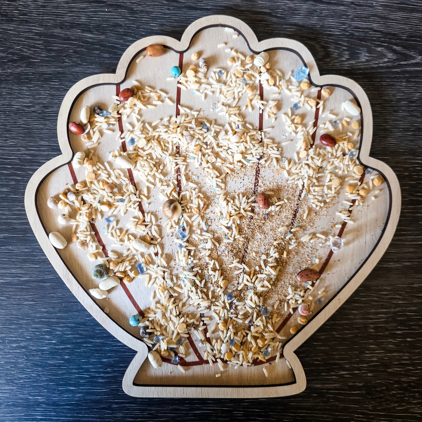Shell Tray