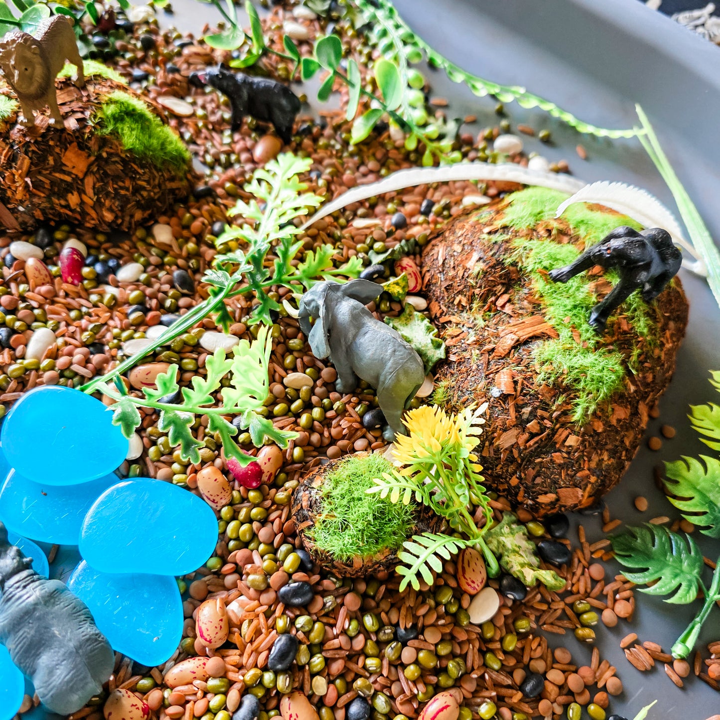 Jungle Jumble