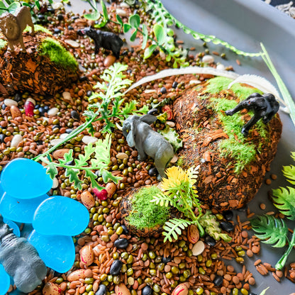 Jungle Jumble