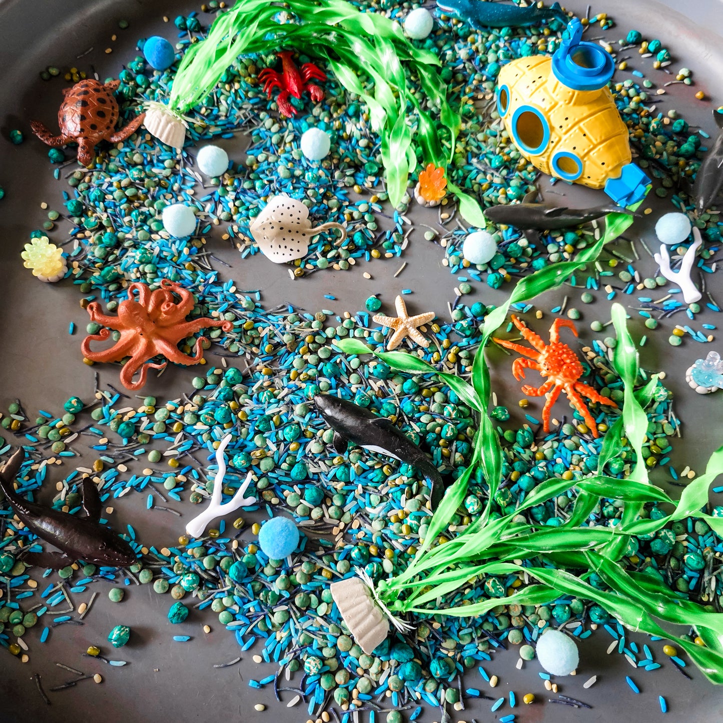 Ocean Dwellers