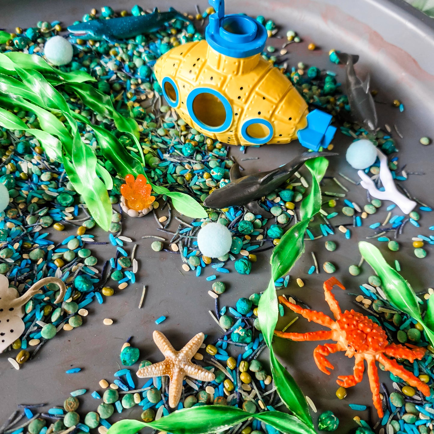 Ocean Dwellers